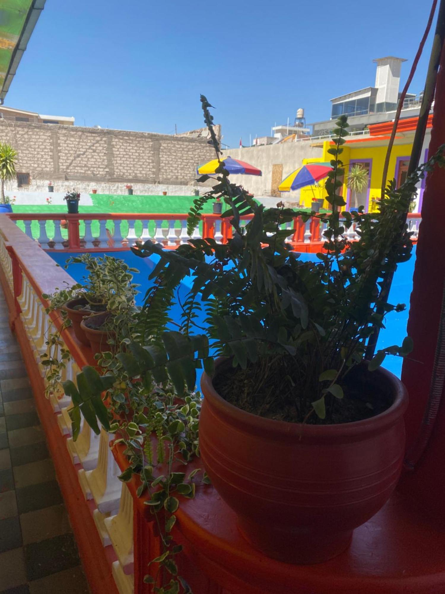 Pusary Hostel Arequipa Buitenkant foto